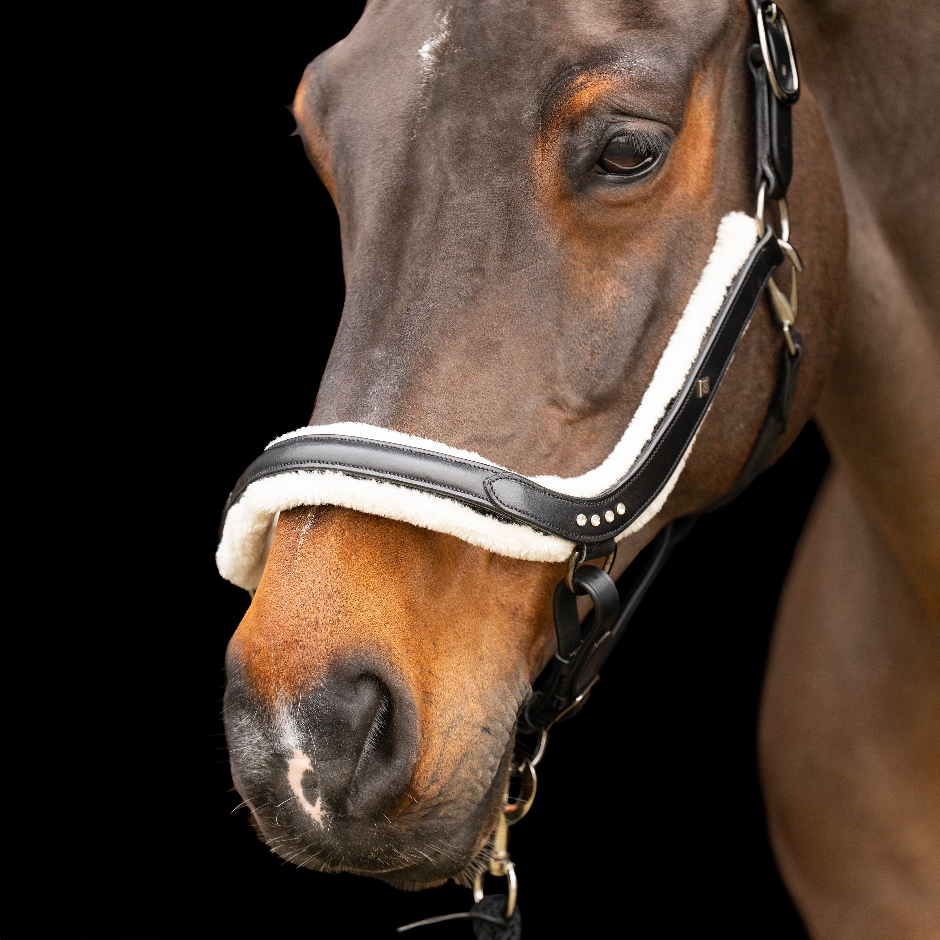 Headcollar IRHLuxury