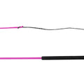 Lunging whip