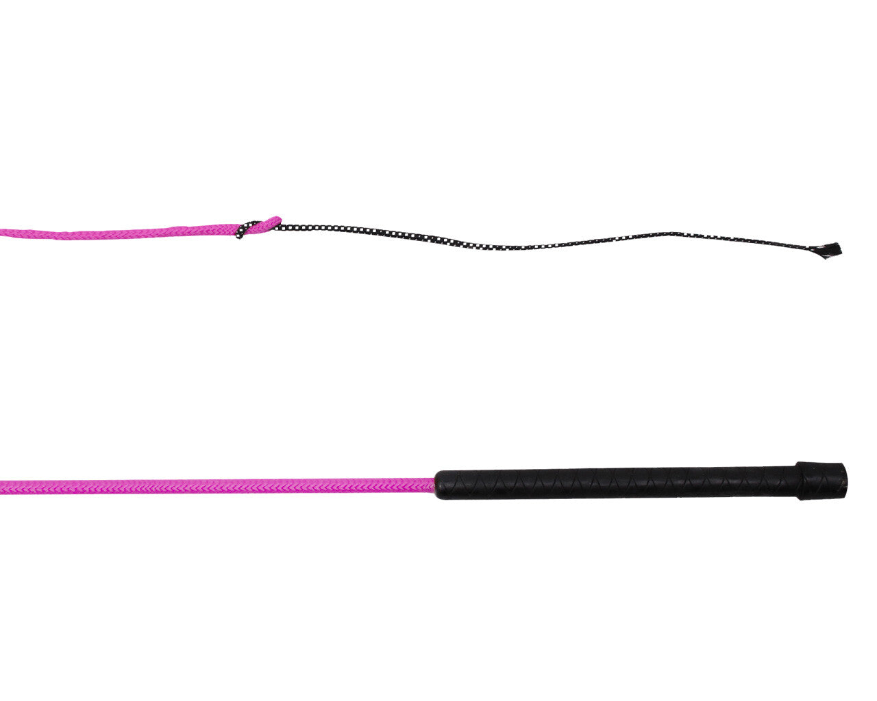 Lunging whip