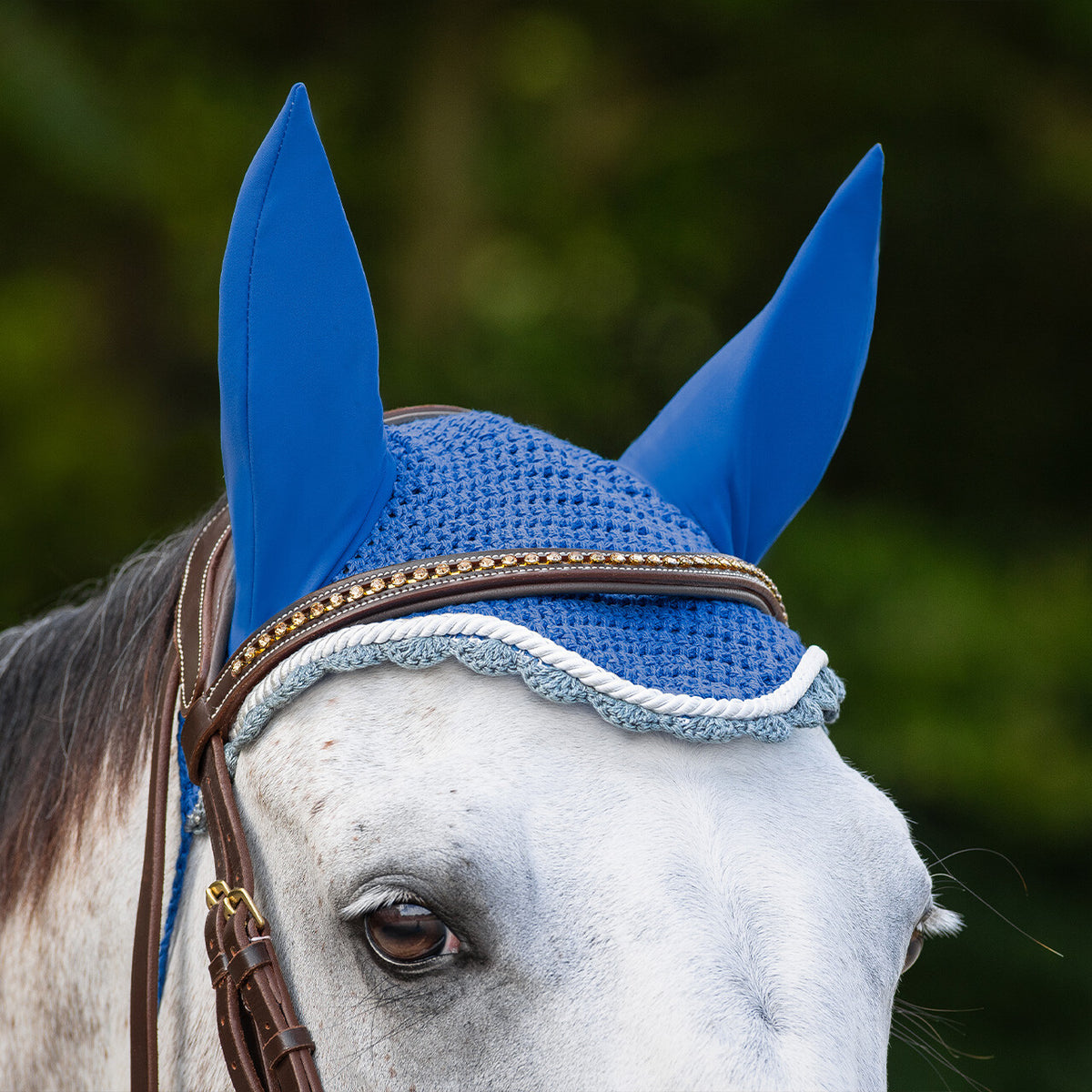 Ear hat Color