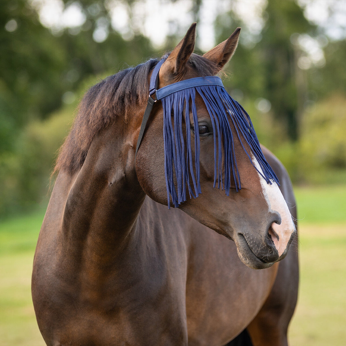 Fly fringe extra