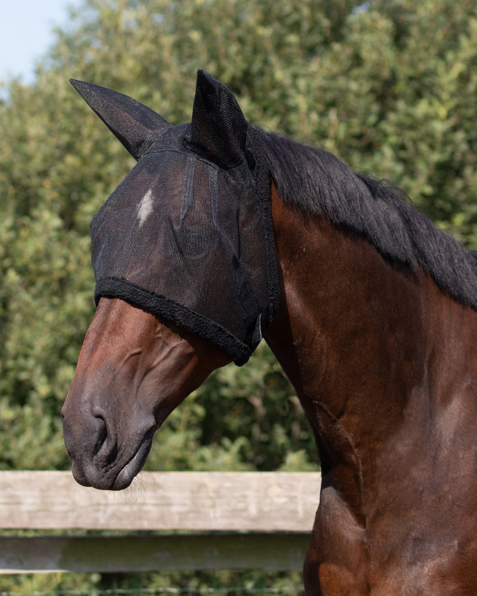 Fly mask with ear protection