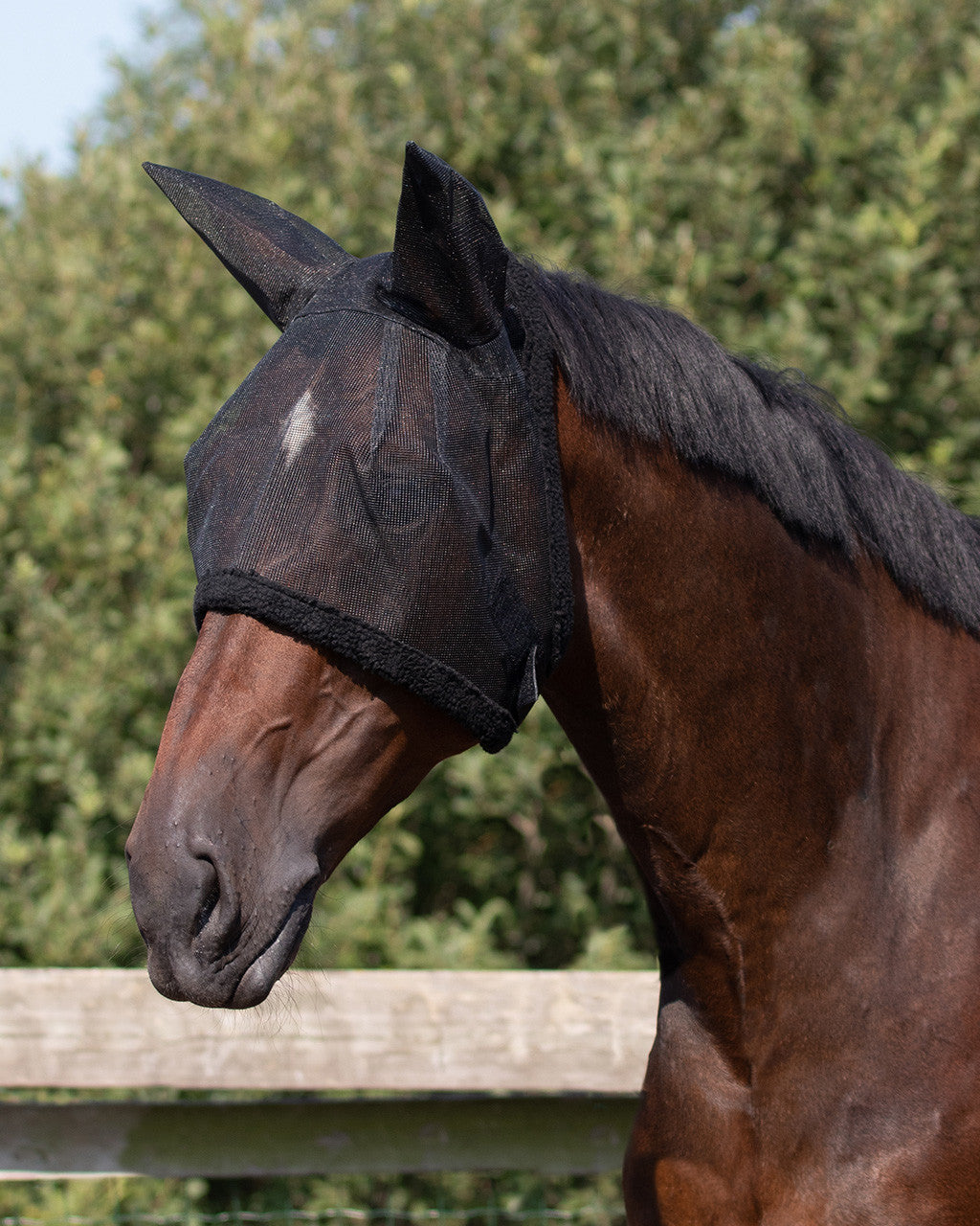 Fly mask with ear protection