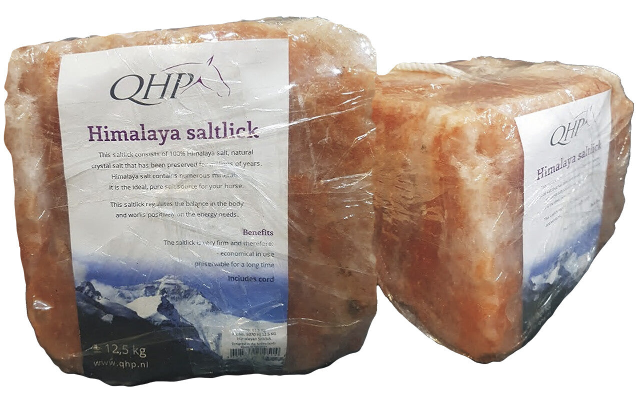 Himalayan saltlick