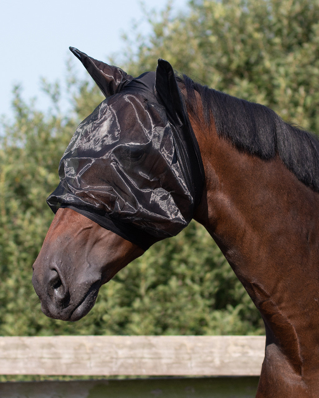 Fly mask with ear protection fine