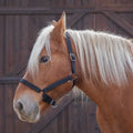 NORTON Headcollar for Draught Horse