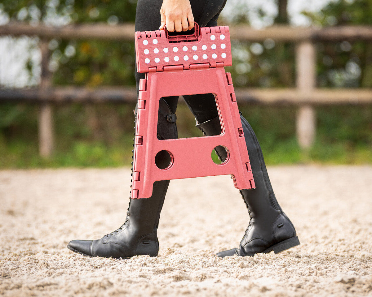 Step-up stool
