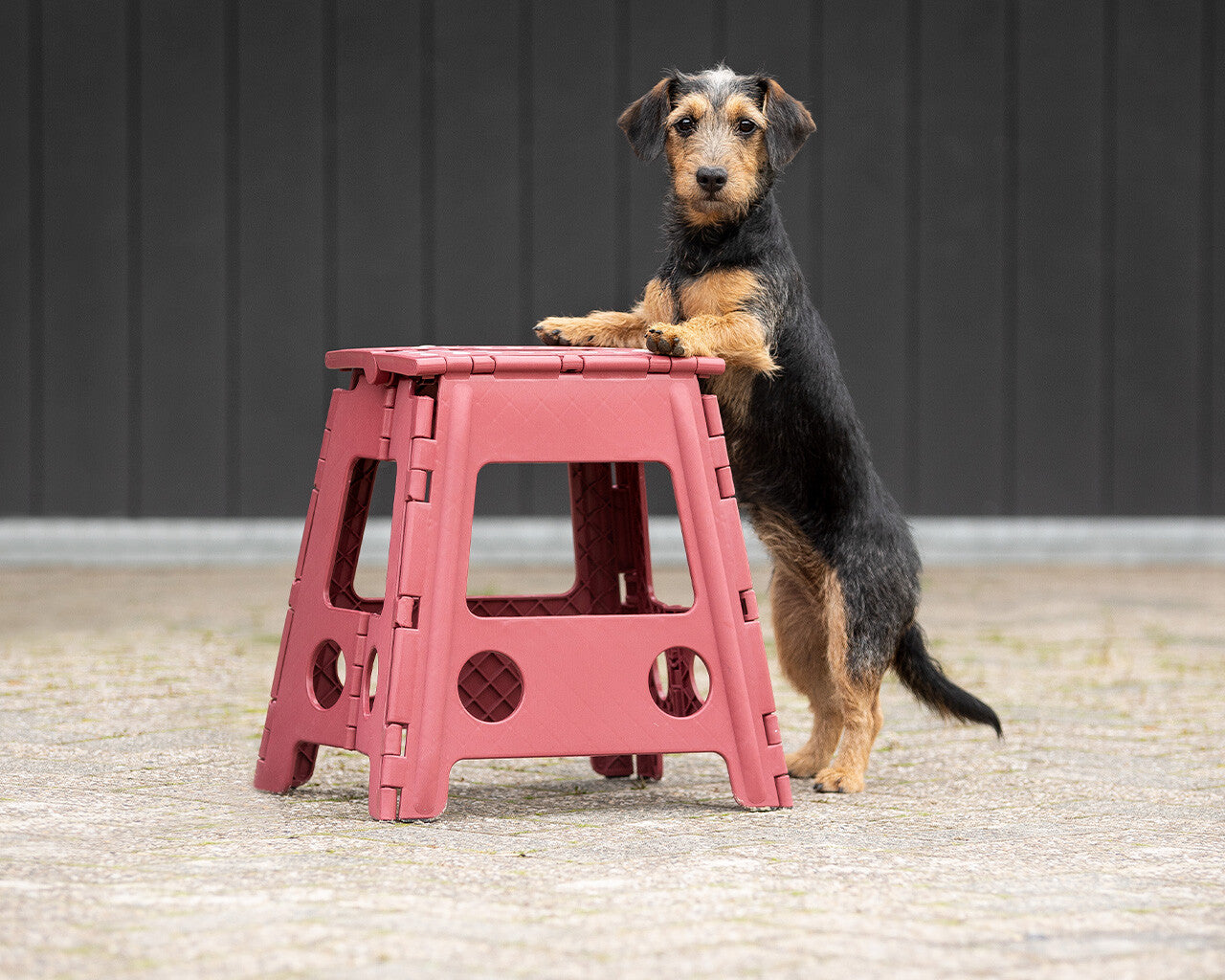 Step-up stool