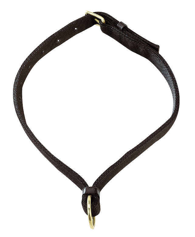 HORSE collar NORTON