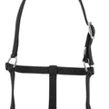 RIDING WORLD Foal headcollar