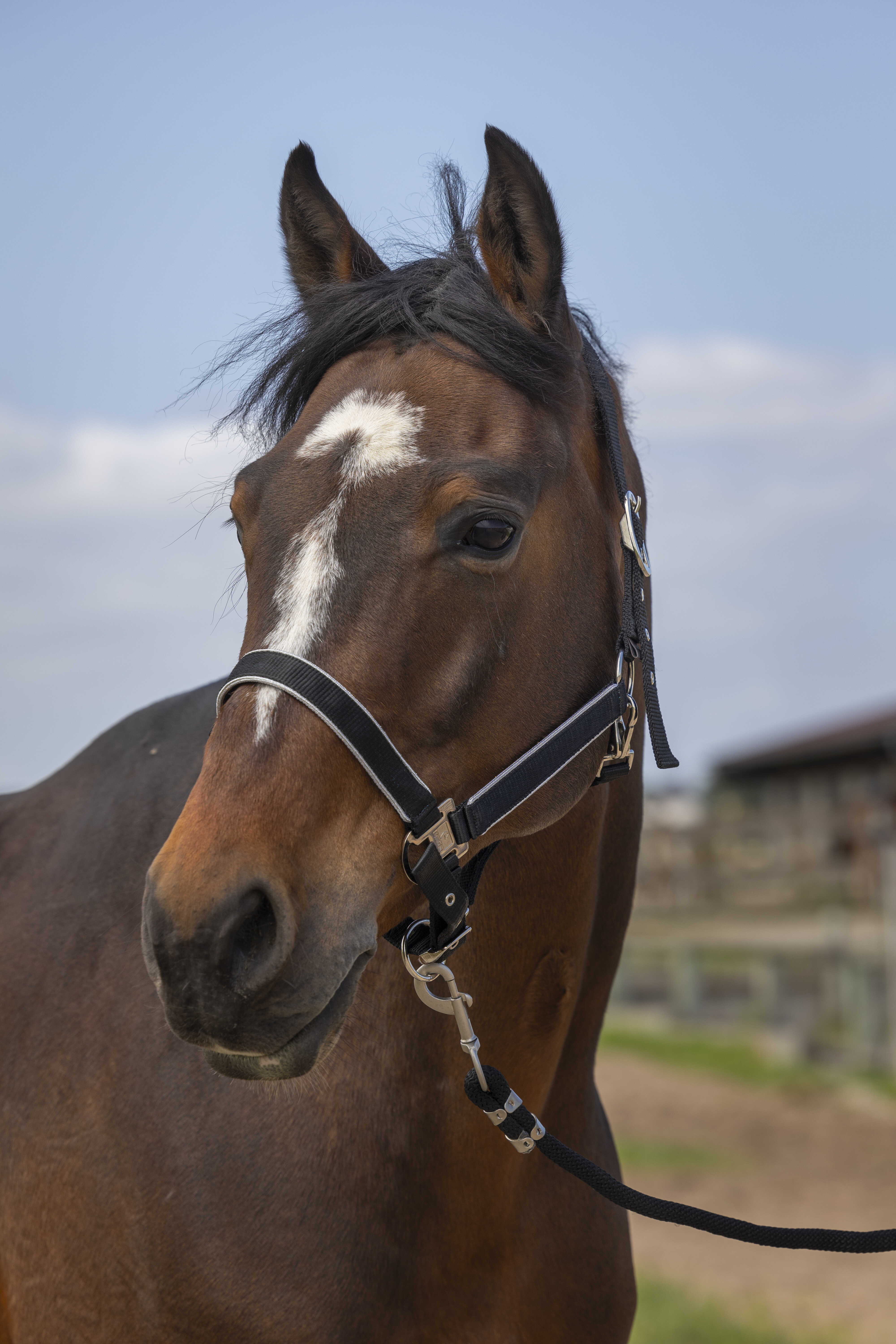 EQUITH ME - Light nylon - Halter