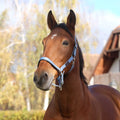 EQUITHEME - Spring -  Nylon Halter