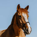 Licol Ã©thologique WESTRIDE - Western