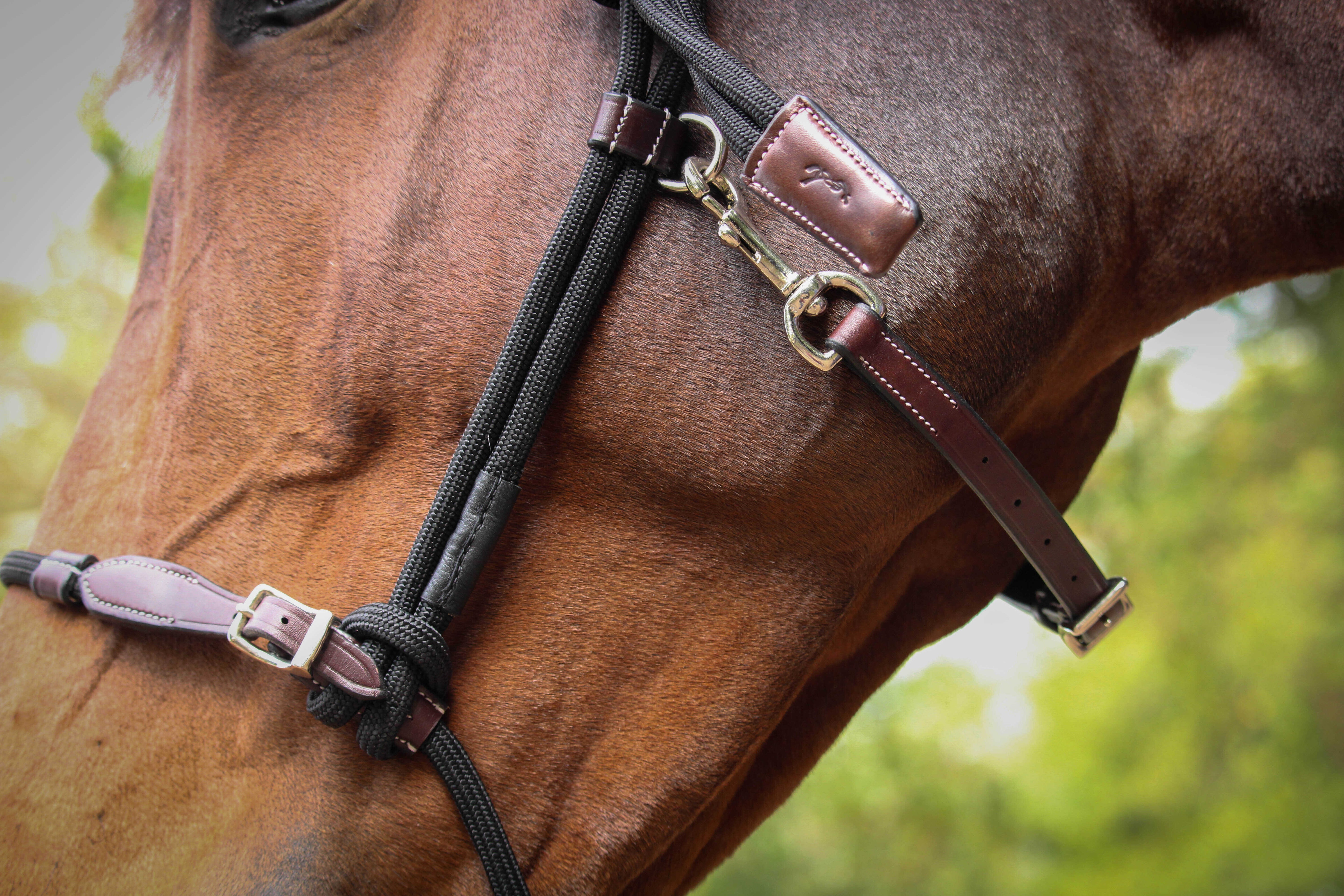 PENELOPE "Rope halter"