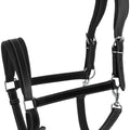 NORTON - Ardennais - Headcollar