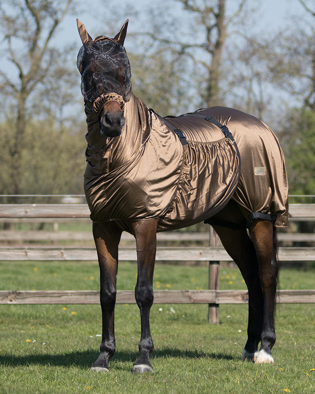 Eczema mask with ear protection