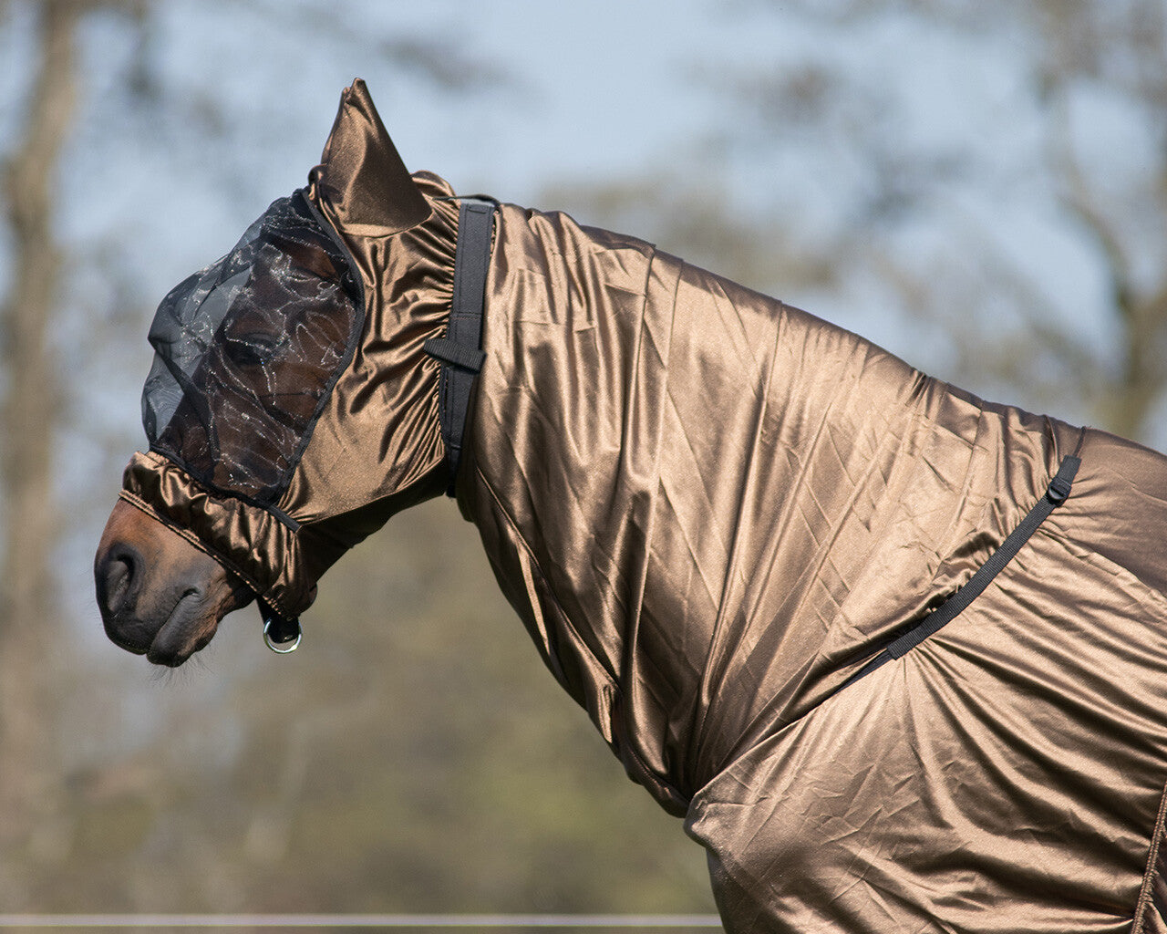 Eczema mask with ear protection