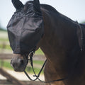 Riding fly mask with ear protection