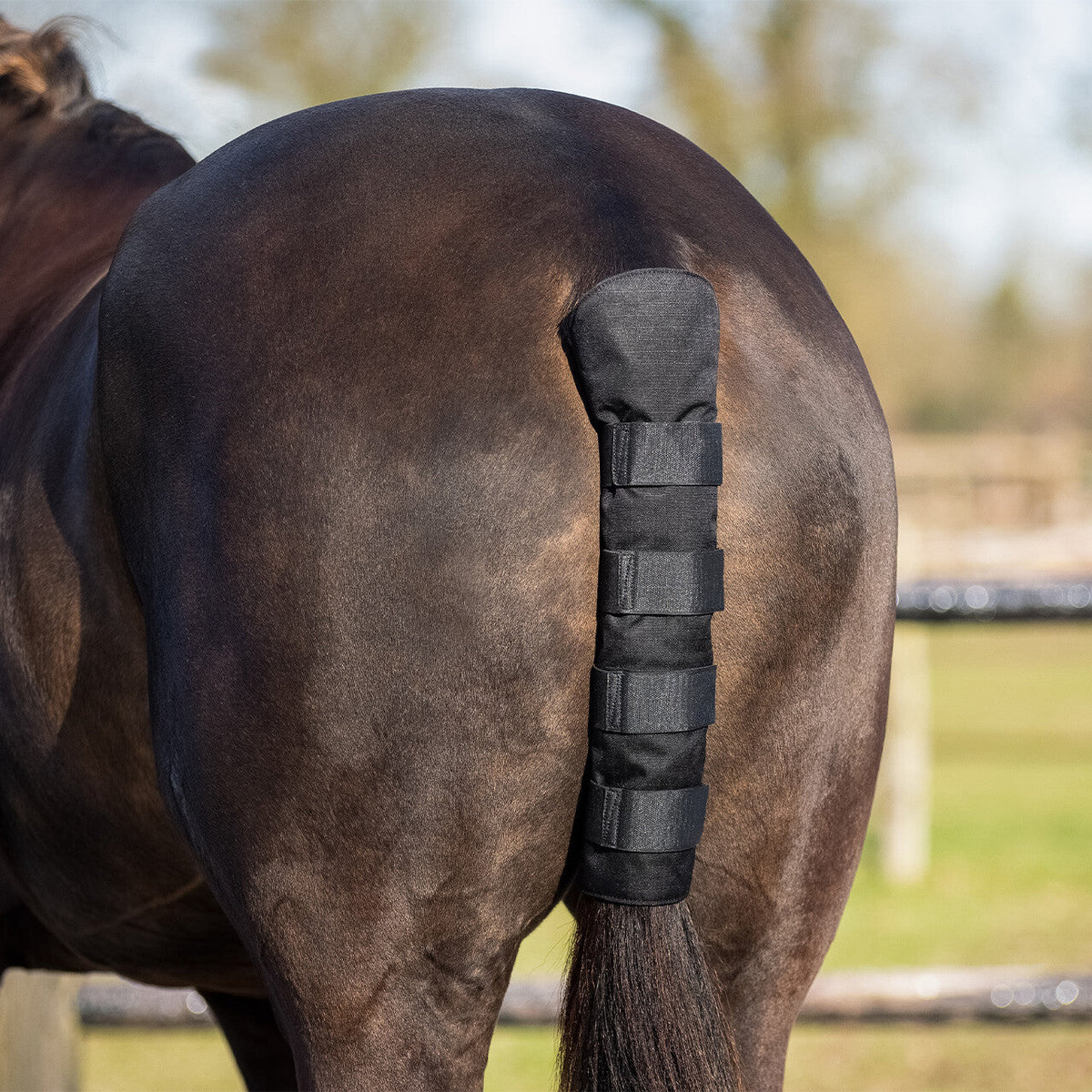 Tailprotector turnout