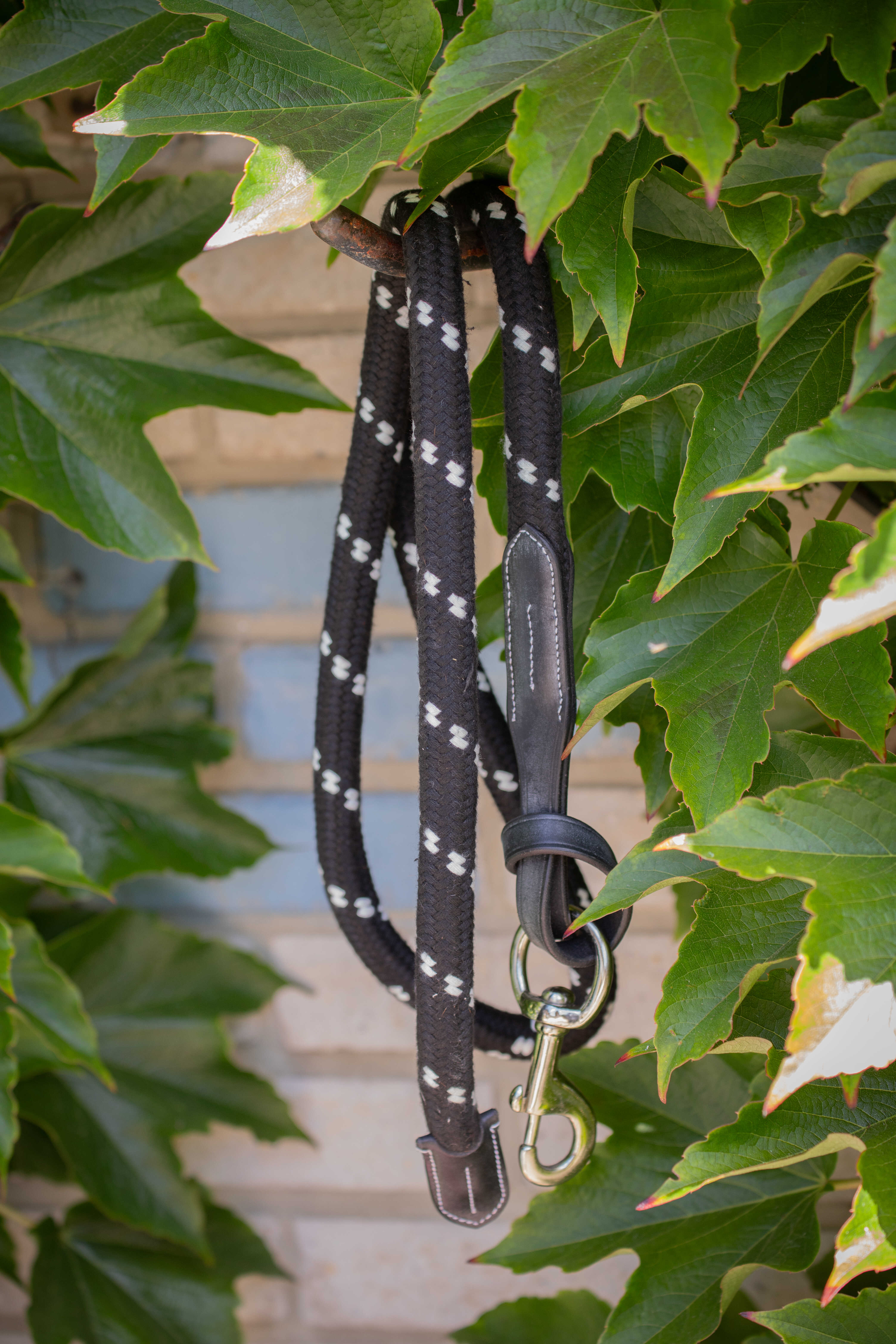 PENELOPE Longe in rope and leather