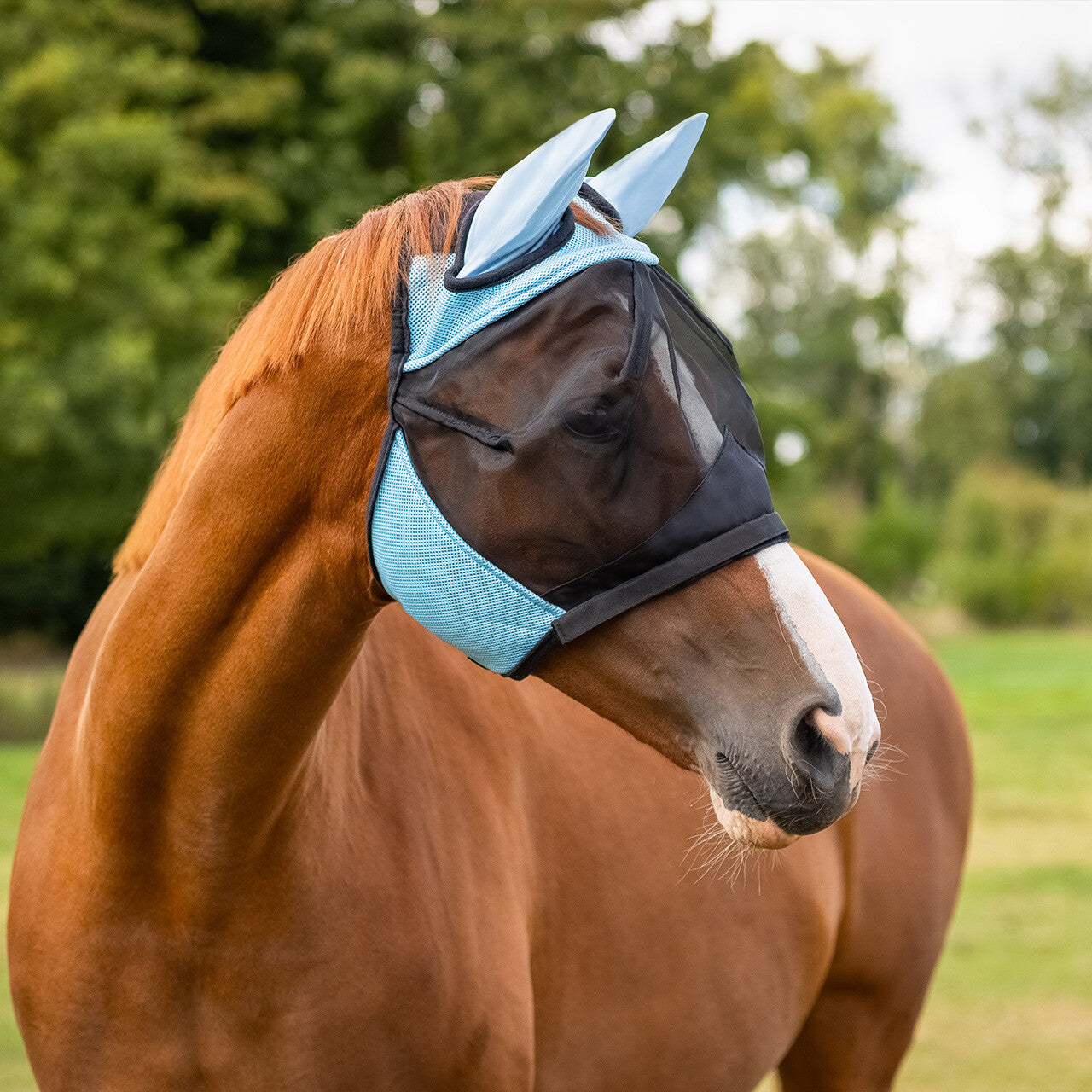 Fly Mask with detachable nose flap