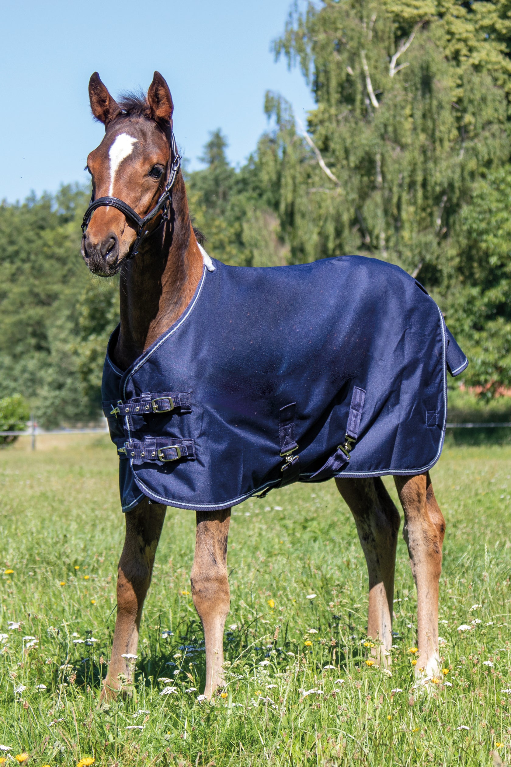 Foal rug  Professional with polar fleece lining 6900 deep blue / EU75/UK3'7/US45"