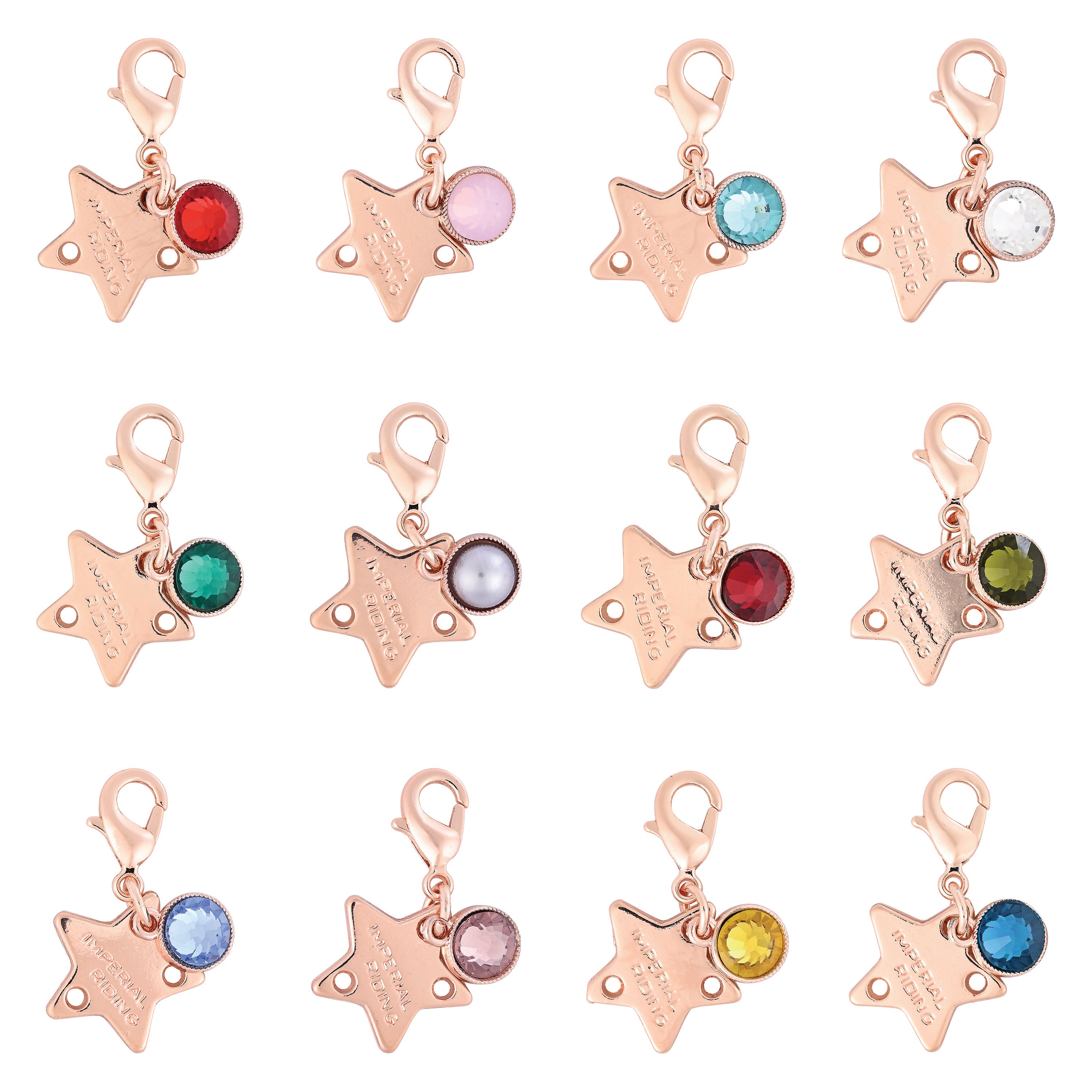 Bridle Charms IRHBirthstone rosegold, set of 12 pcs