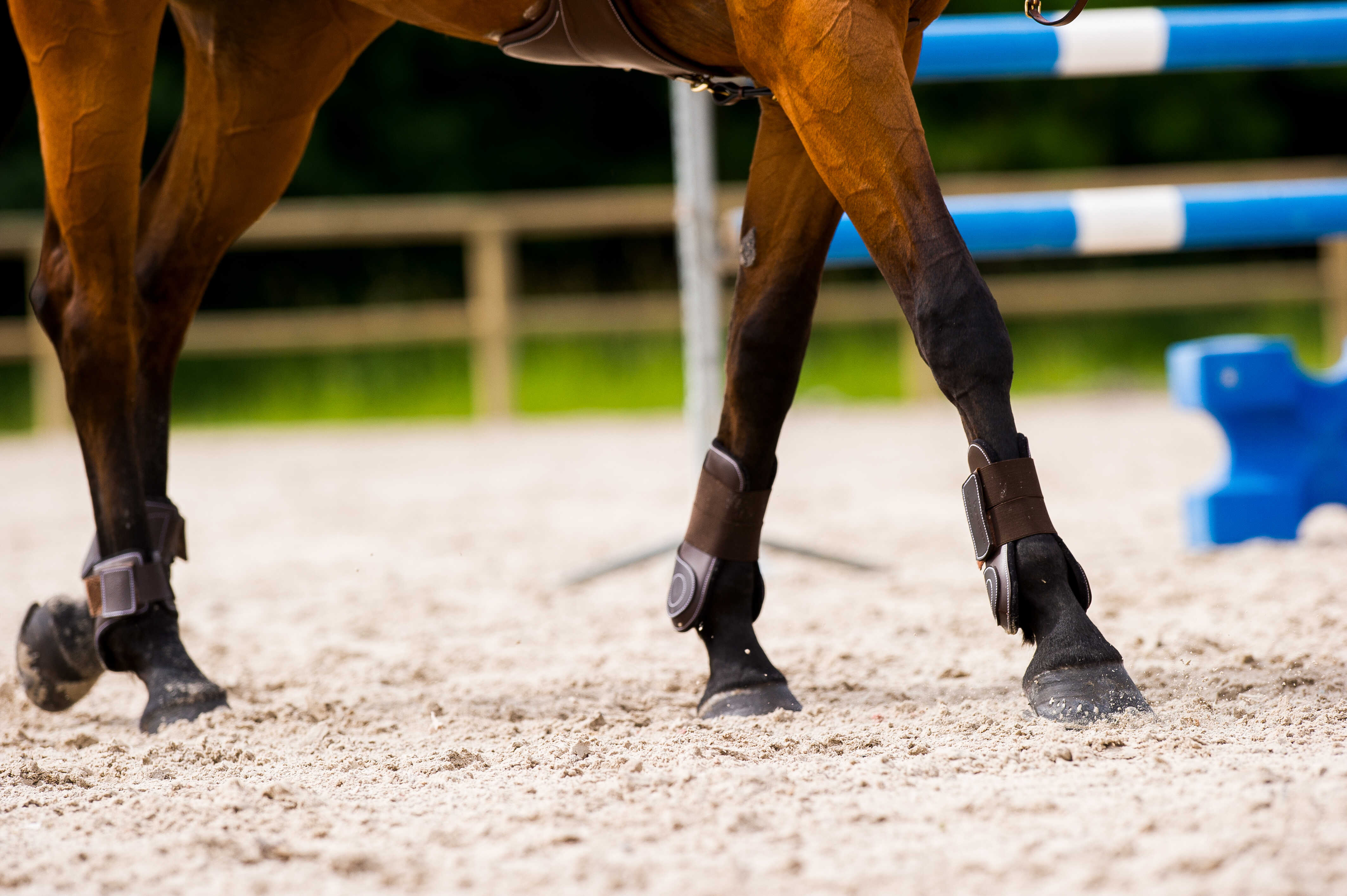 NORTON "Synthetic" double shell fetlock boots
