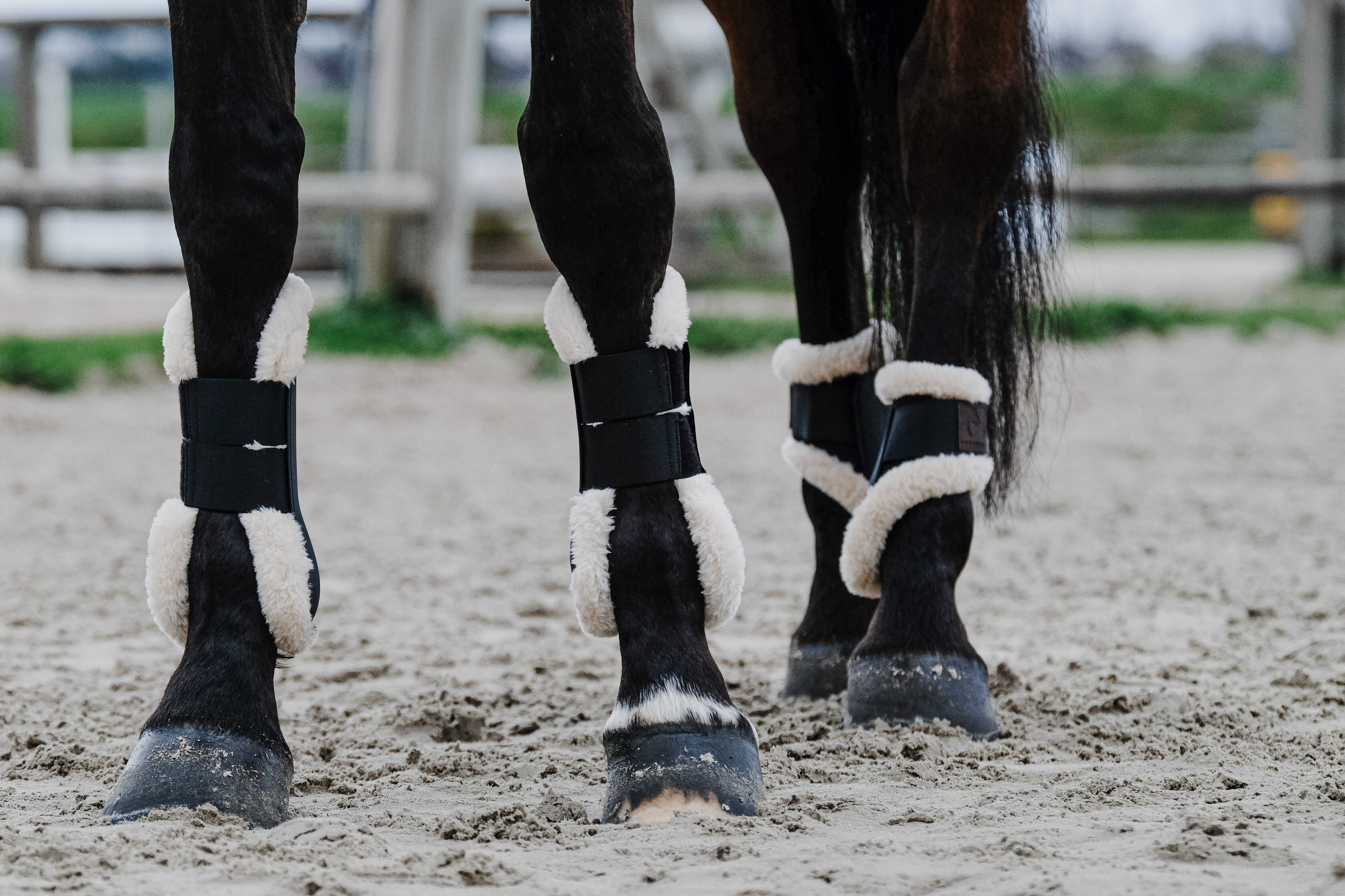 EQUITH ME - Boa - Fetlock boots