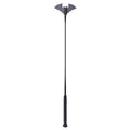 Riding whip Halloween