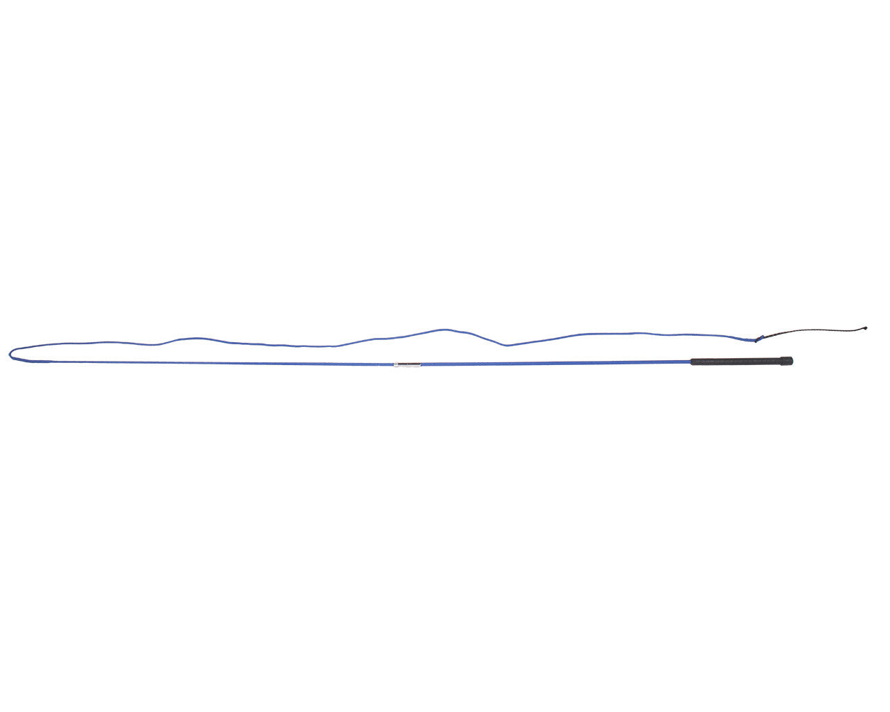 Lunging whip divisible