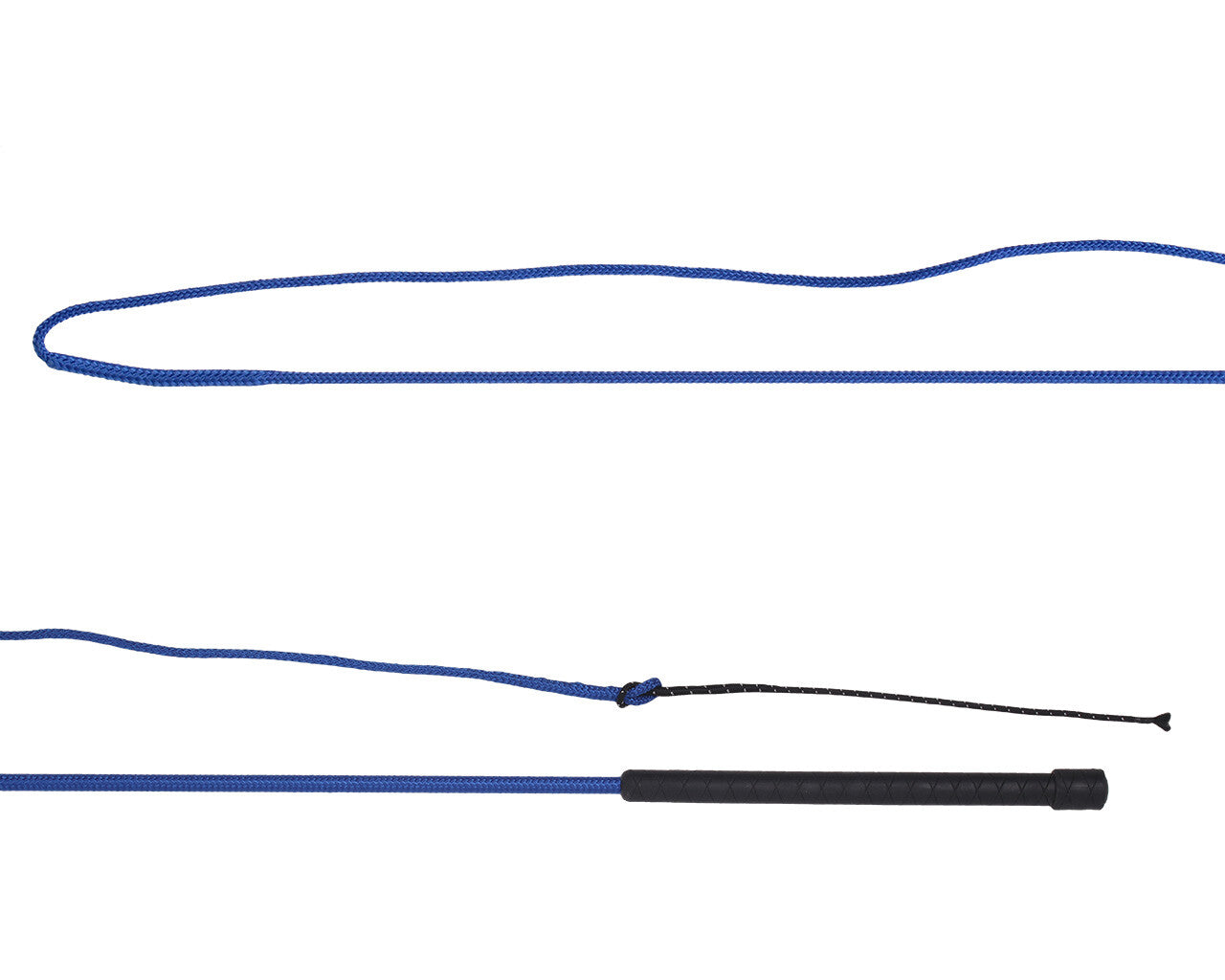 Lunging whip divisible