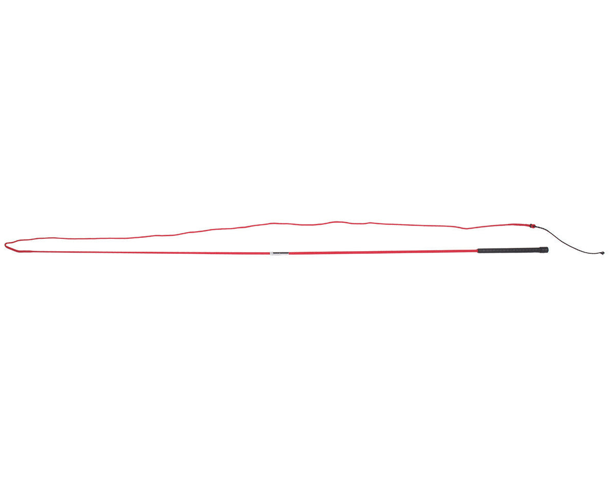 Lunging whip divisible