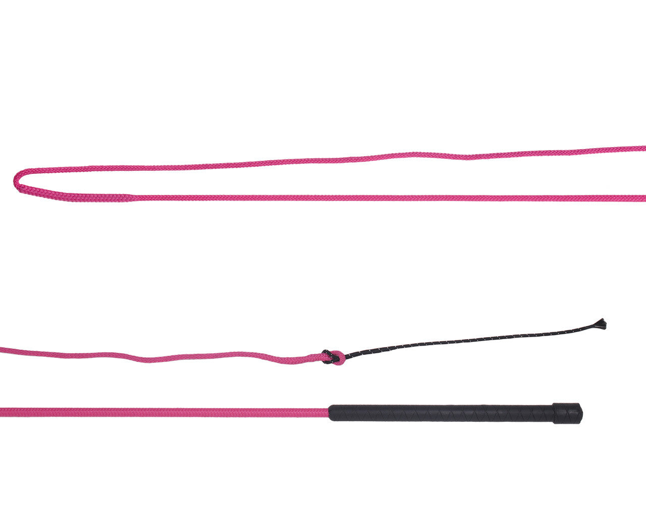 Lunging whip divisible