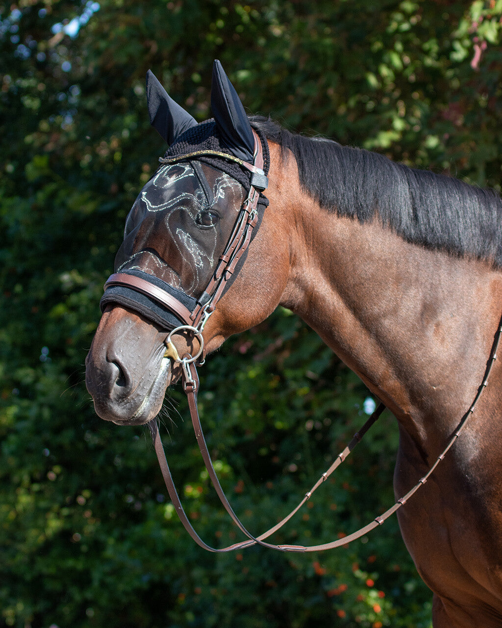 Ear net with fly mask