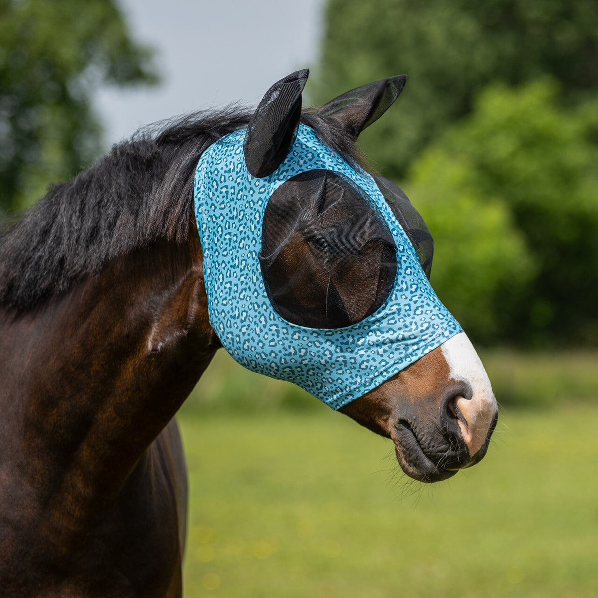 Fly Mask Super bug