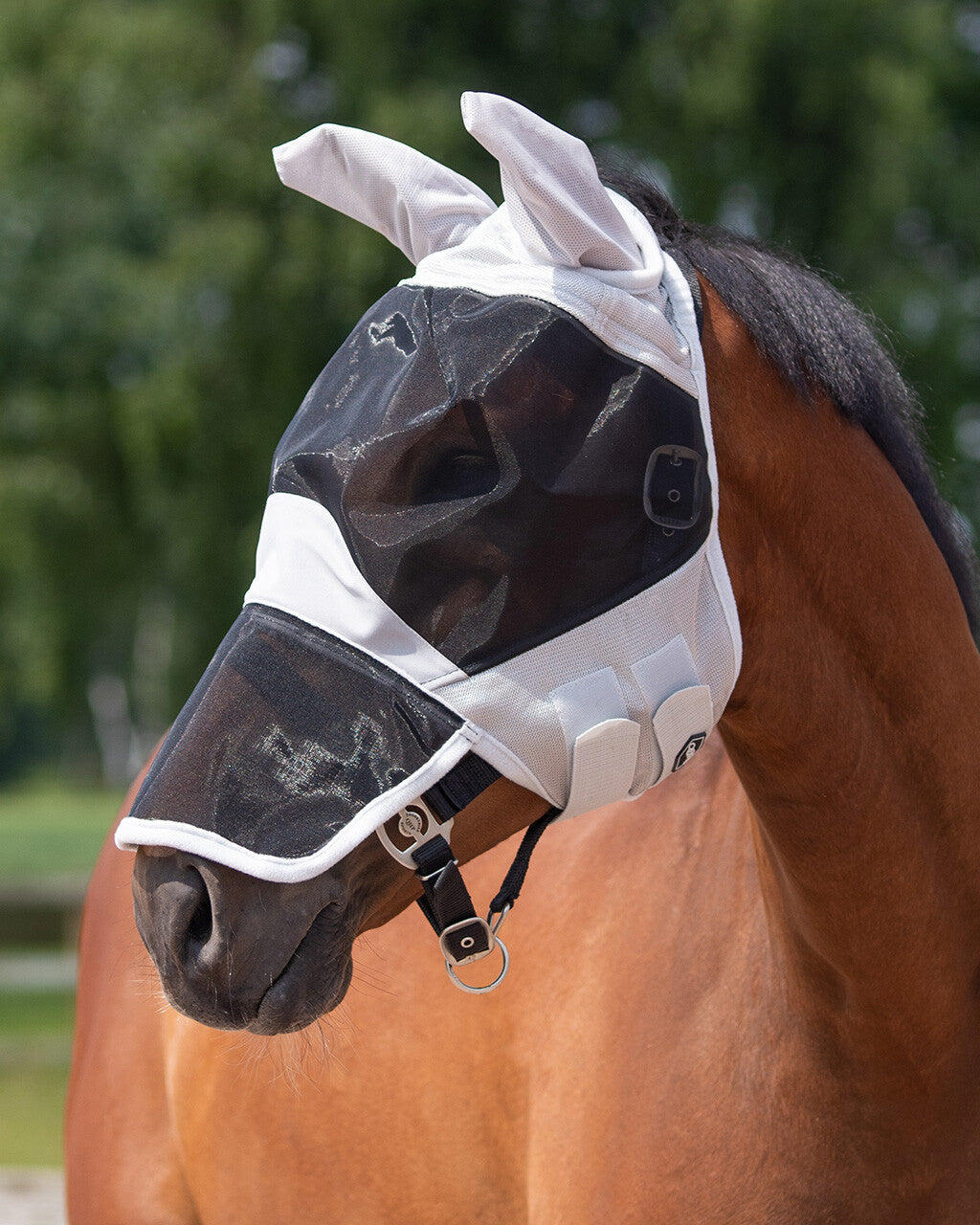 Fly mask Solaire