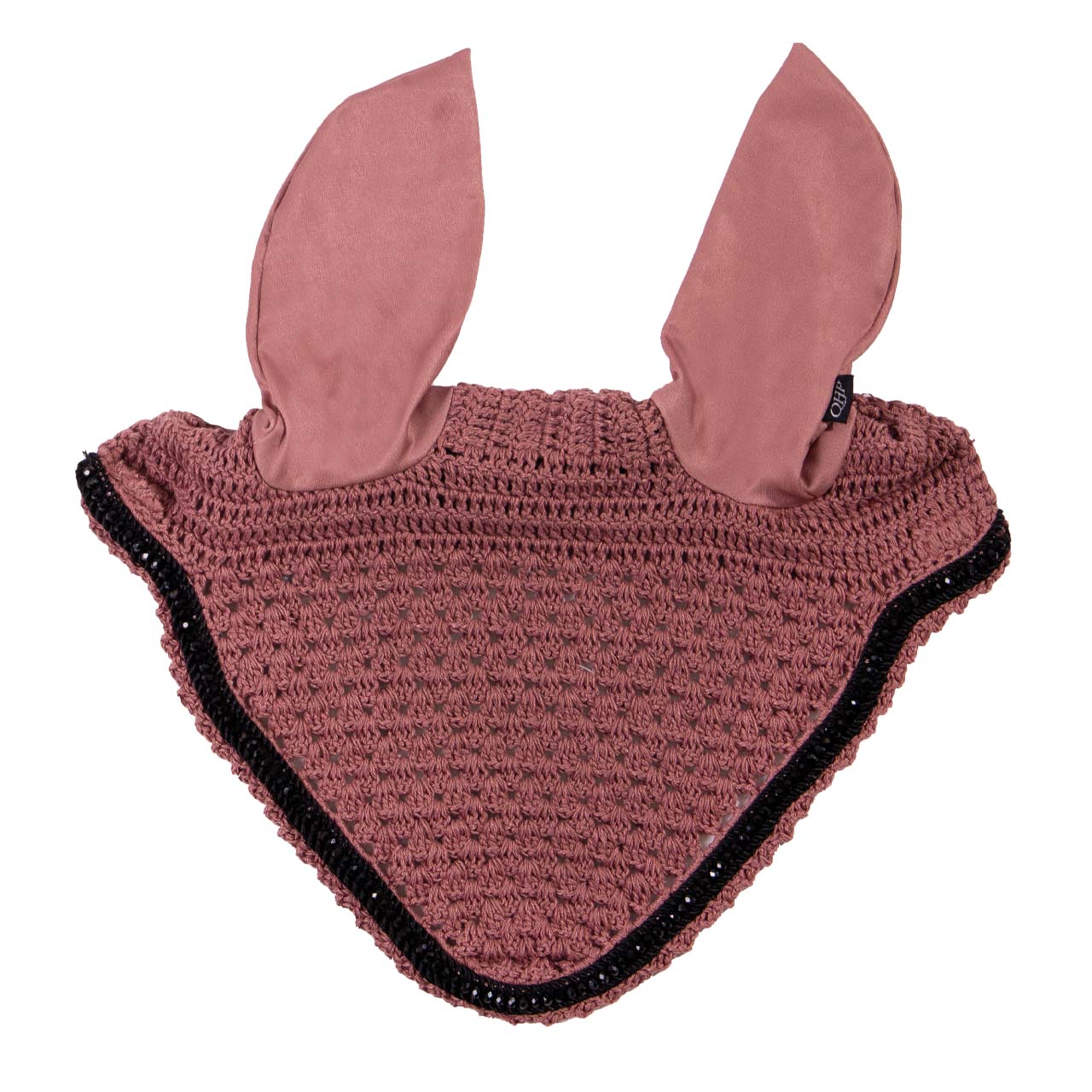 ear net astana