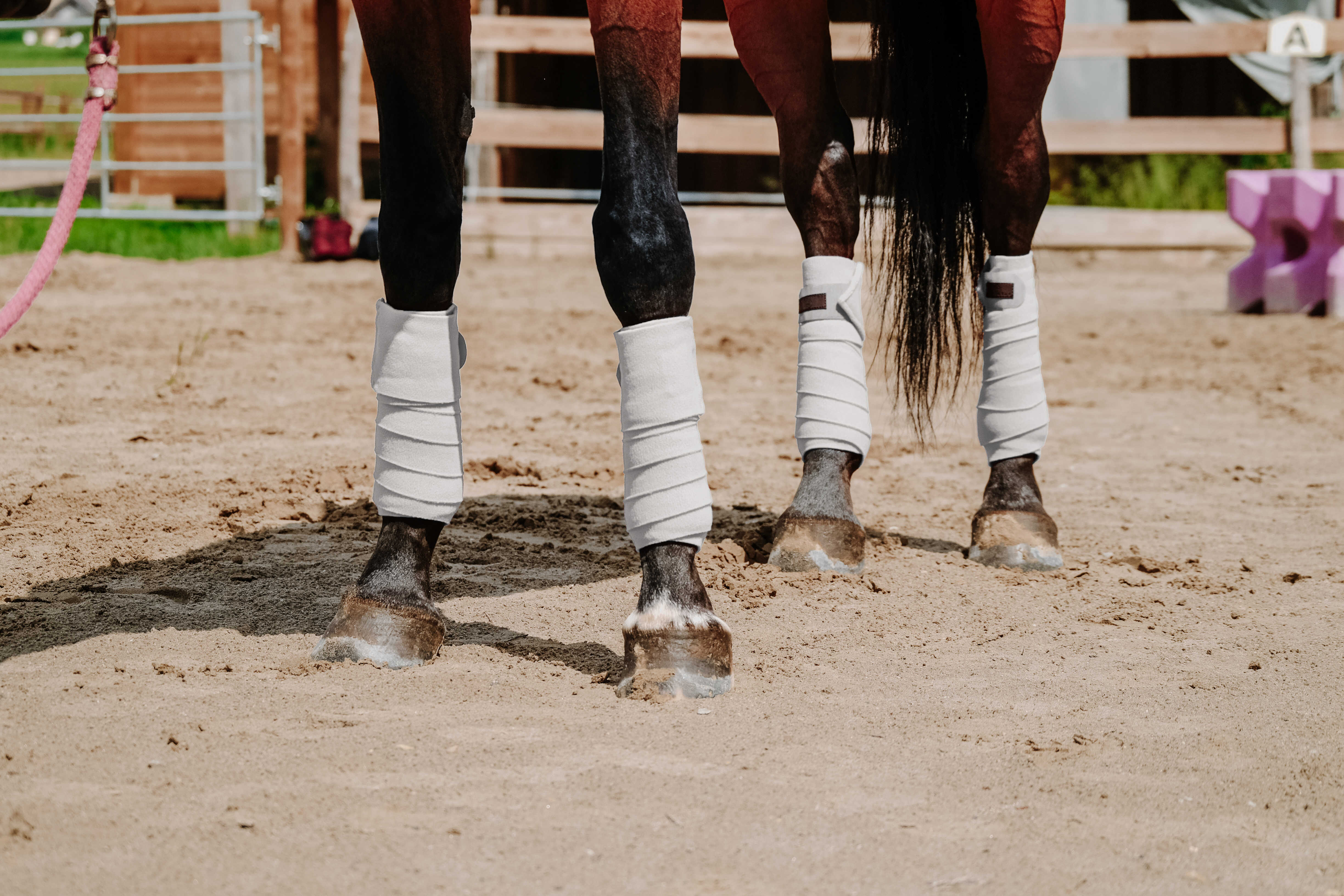 EQUITHÃˆME Polo Bands