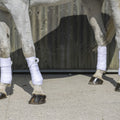 RIDING WORLD - Eco - Polo Bandages