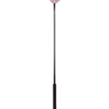 Riding whip Veerle