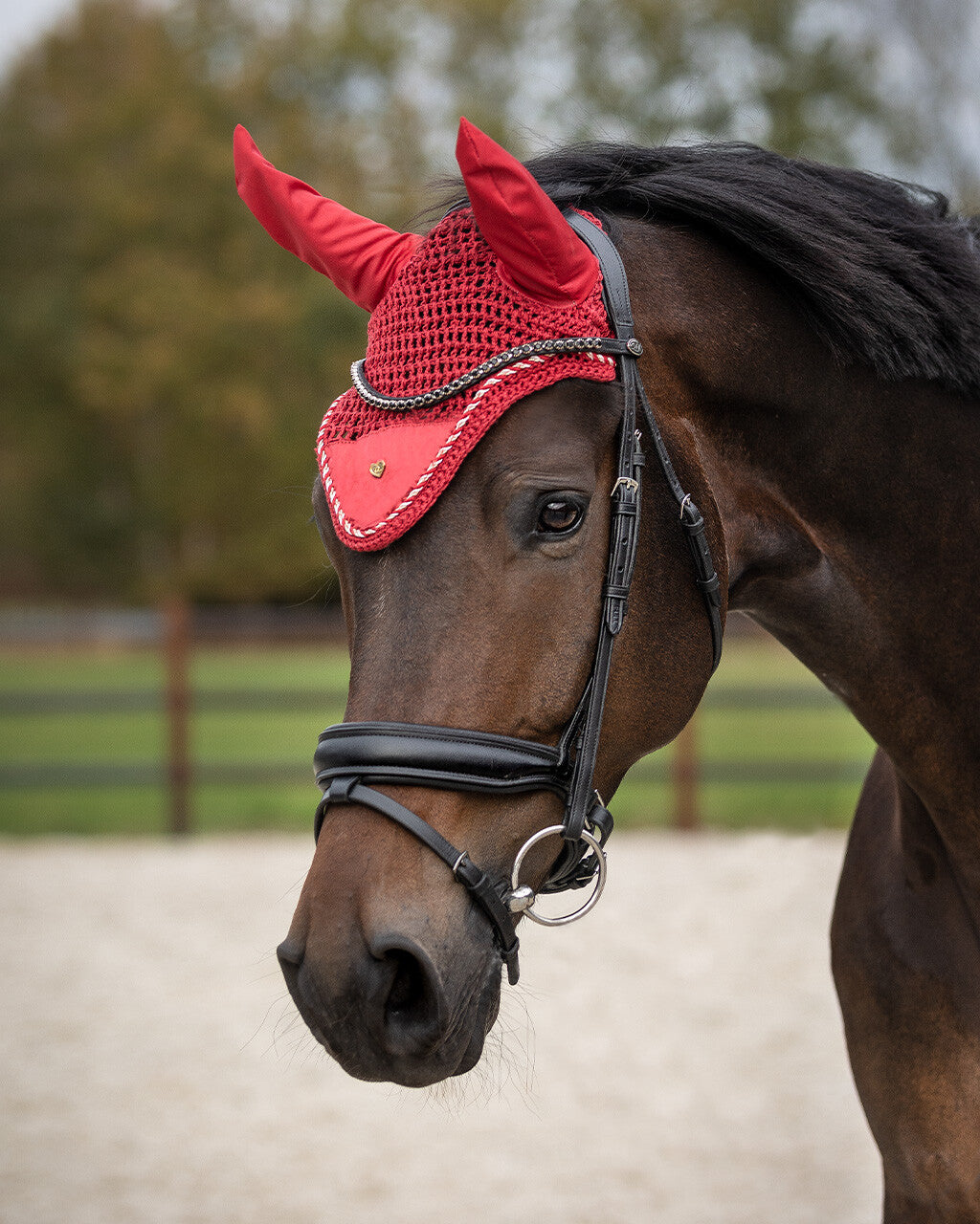Ear net Valentine