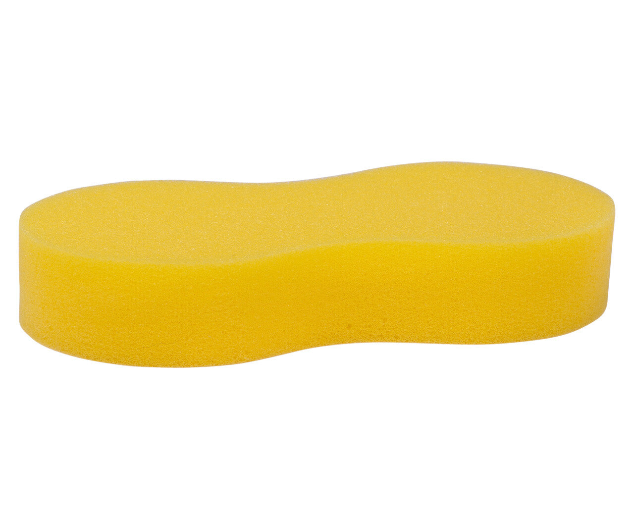 sponge compressed