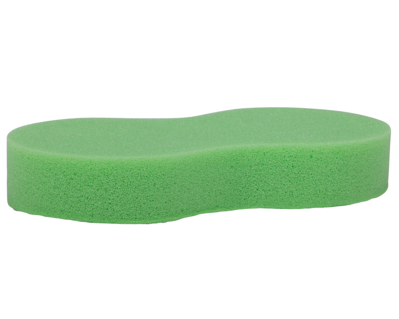 sponge compressed