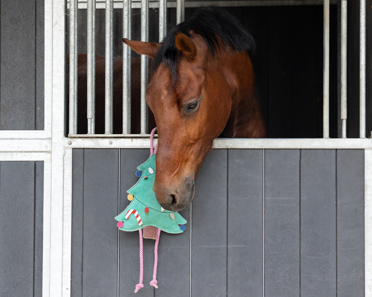 Horse Toy Christmas