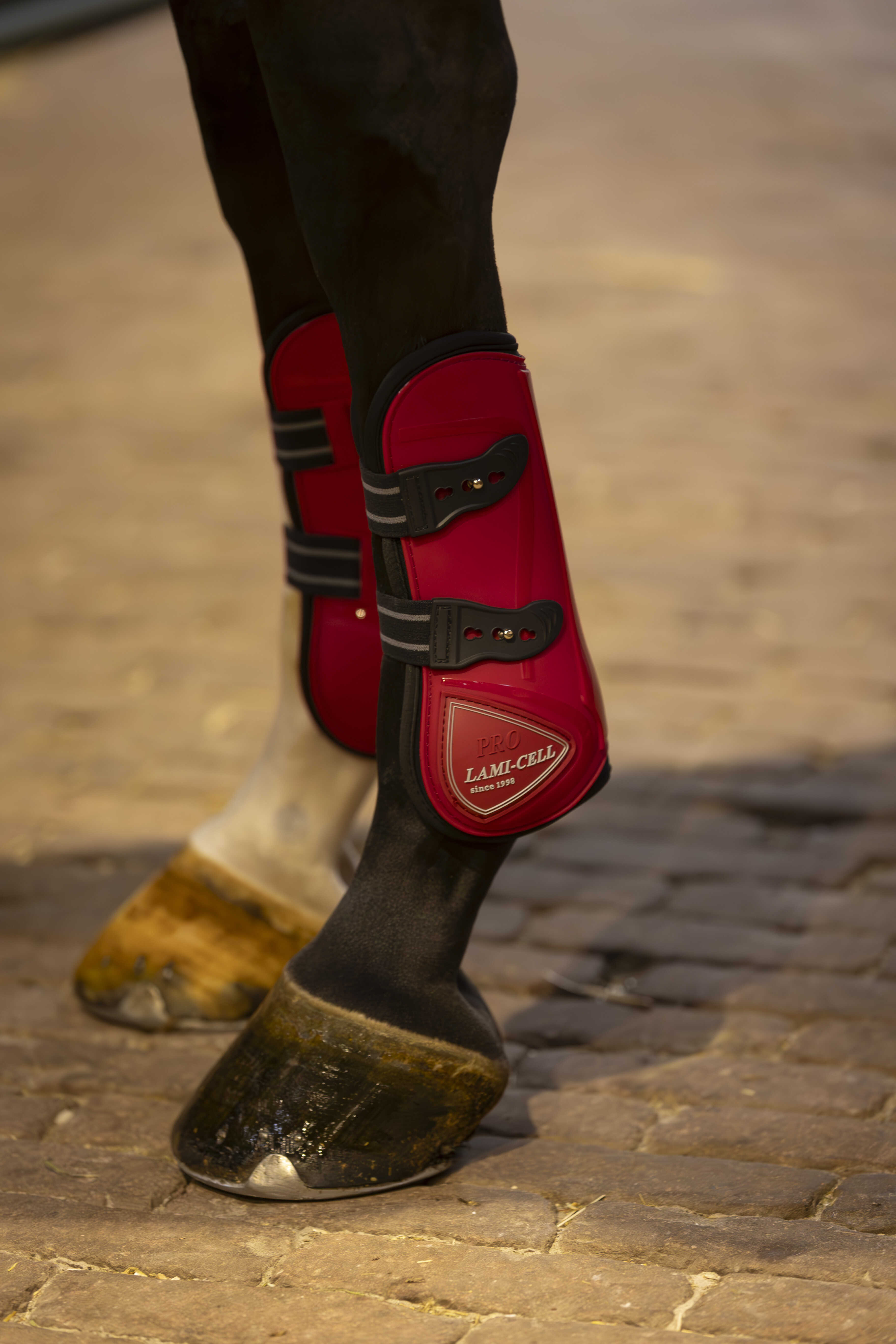 LAMI-CELL Elite - Fetlock and Tendon Boots Set