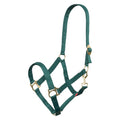 Headcollar IRHEconomic