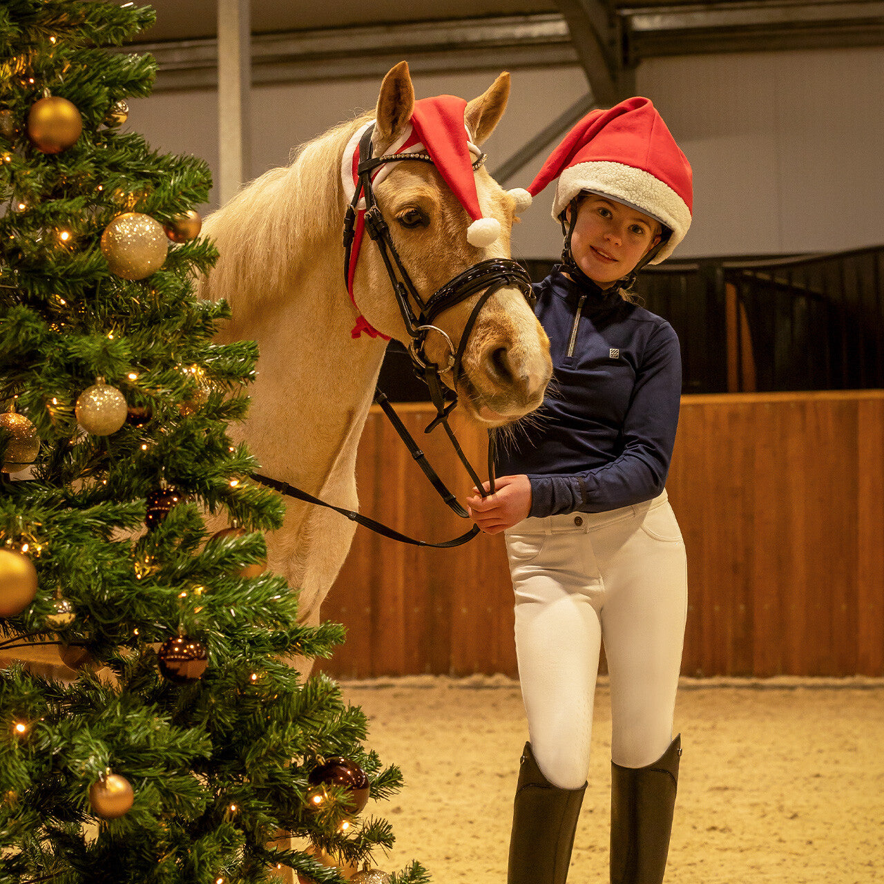 Christmas hat horse
