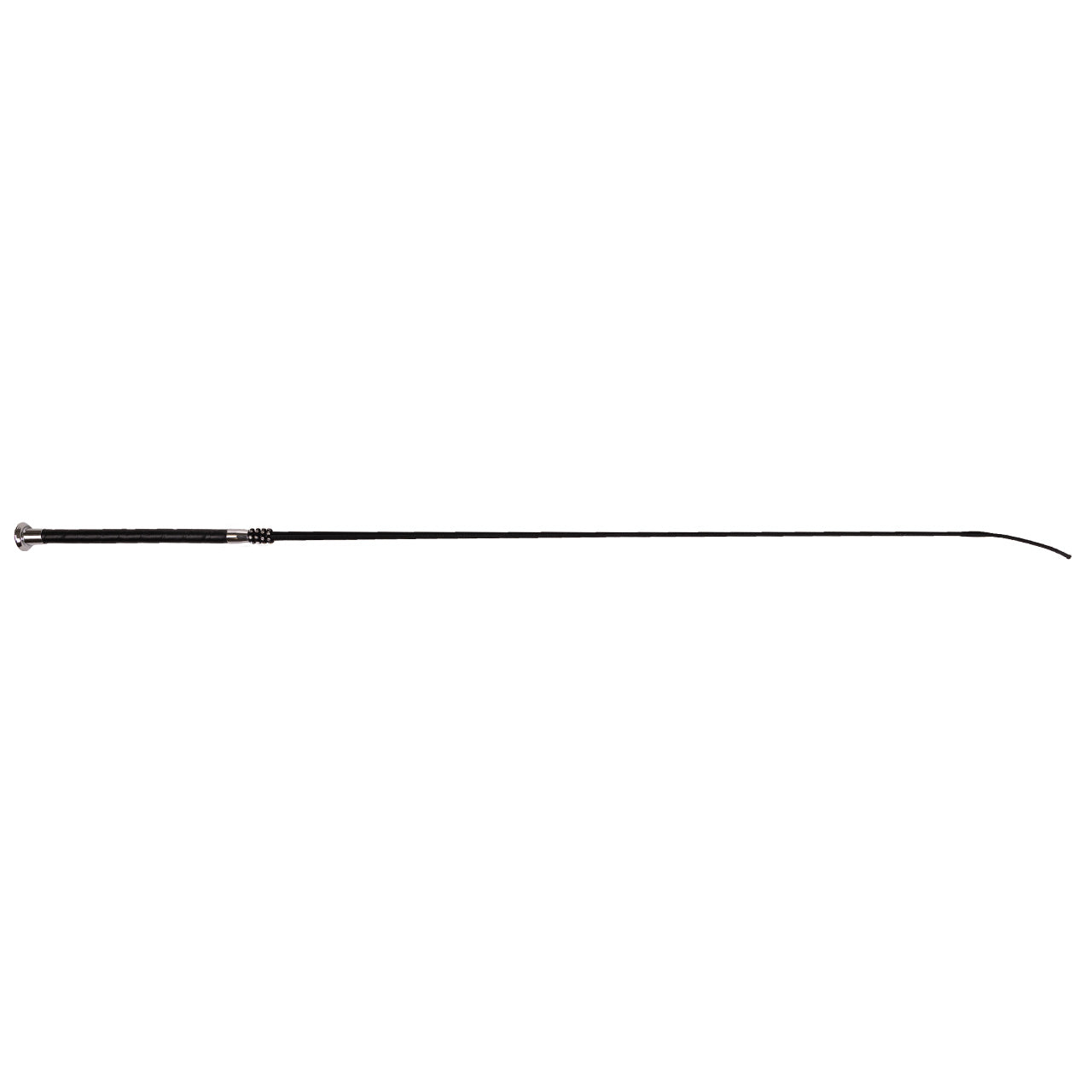 Dressage whip Shine