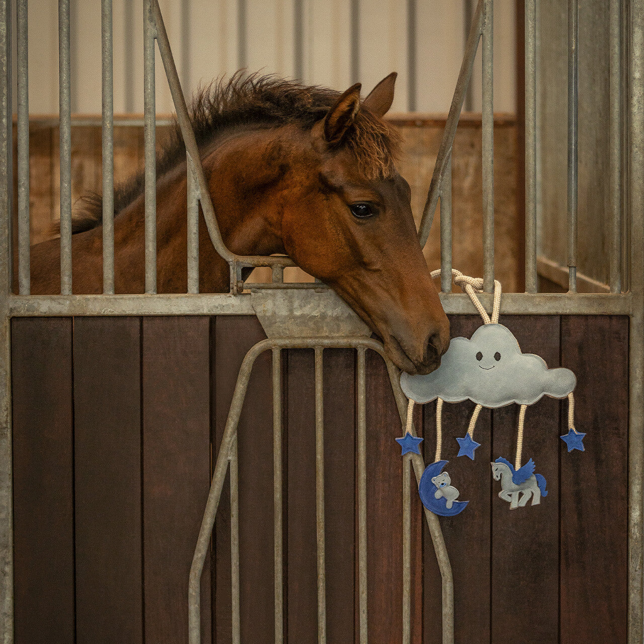 Horse toy Novy